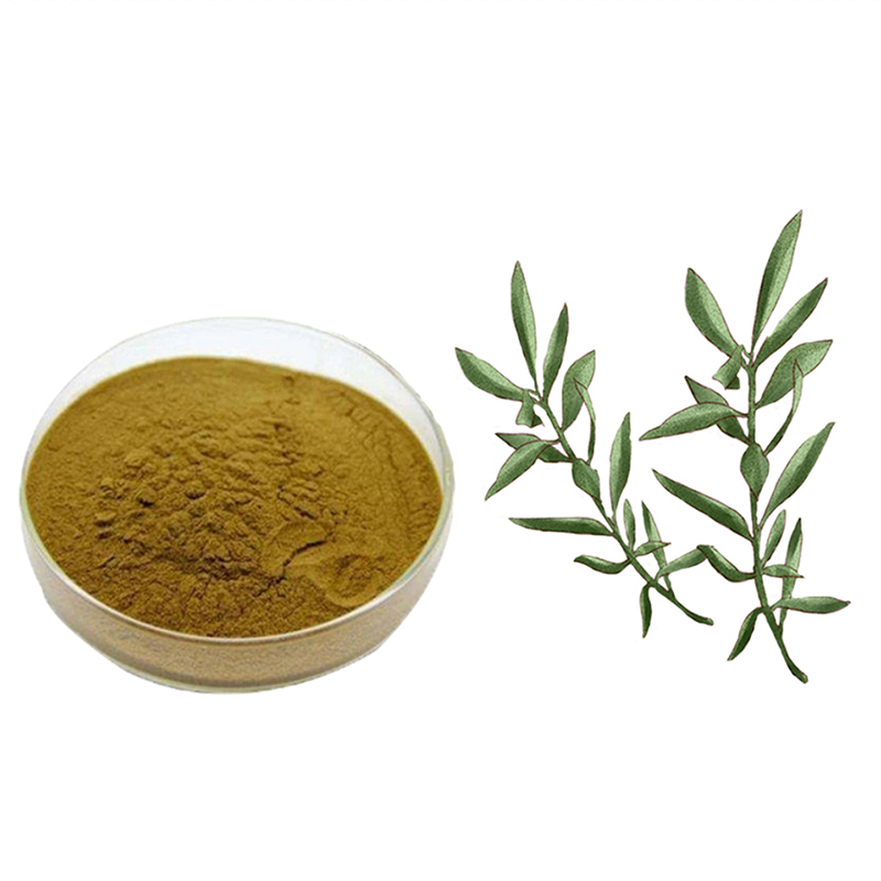 Natural-Plant-Olive-Leaf-Extract-Oleuropein-1