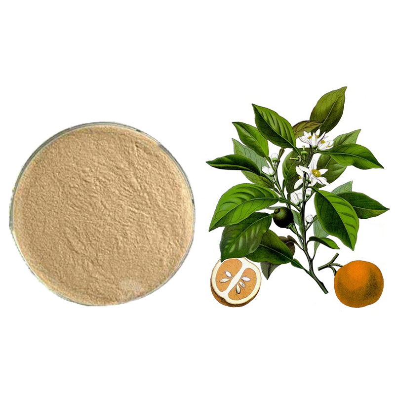 Plant-Extract-Hesperidin-Powder-Citrus-Aurantium-Extract-1